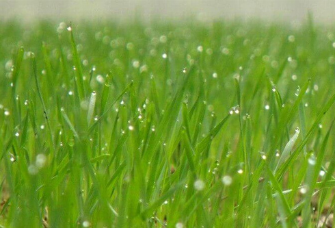 PG电子·(模拟器)游戏官网入口 -pgsoft-games