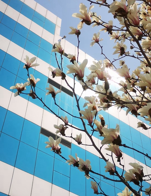 PG电子·(模拟器)游戏官网入口 -pgsoft-games